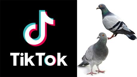 Three youth  get roasted after Tiktok BBQ
