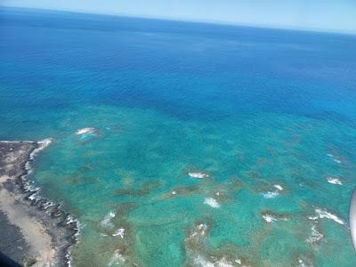 WHERE LAVA MEETS THE SEA, Exploring Hawaii’s Tide Pools