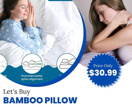 Essence Of Bamboo Pillows