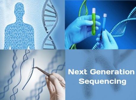 Rapid Clinical Testing Adaptation Of Next Generation Sequencing Technology Is Fundamentally Altering The Clinical Diagnostics Orthodoxy