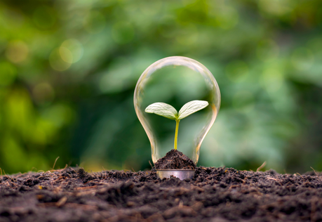 Adopting Eco-Friendly Practices in Hair Salons Adopting Eco-Friendly Practices in Hair Salons