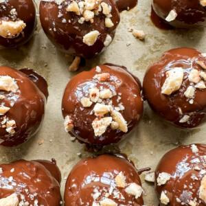 Vegan Chocolate Hazelnut Truffles