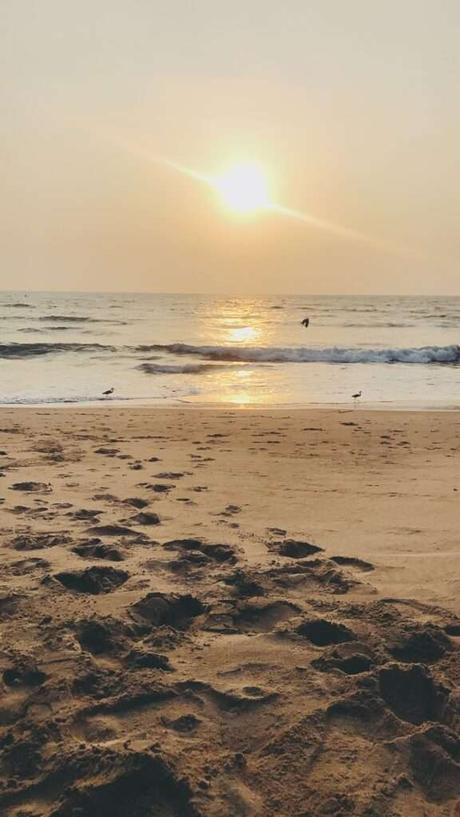 Which Beach is Best in Goa?