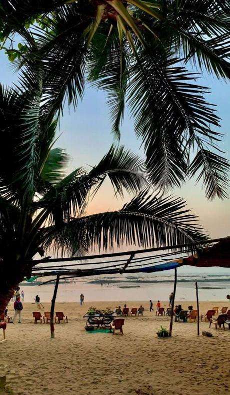 Which Beach is Best in Goa?