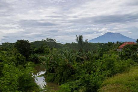 When is Bali Rainy Season