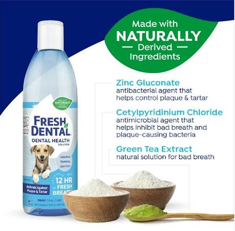 Does your dog have smelly breath?