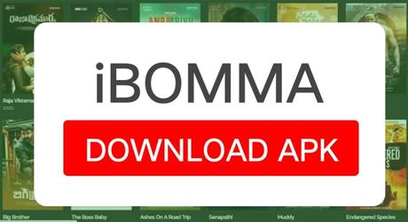 iBOMMA Official App - How to Download?