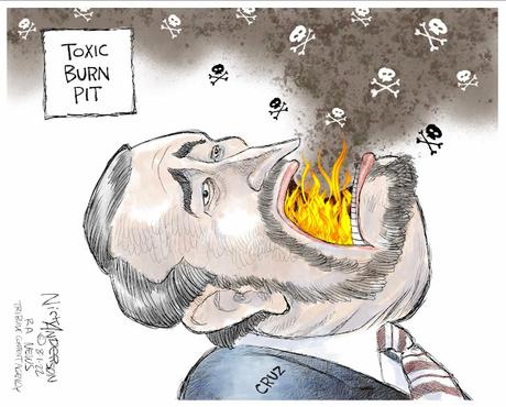 Texas Toxic Burn Pit