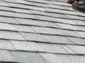 Home Projects Should Leave Professionals