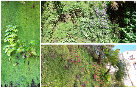 Hanging gardens for all: introducing the green walls of Bordeaux