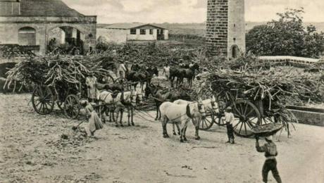 Sugar, Slavery, and the British Empire