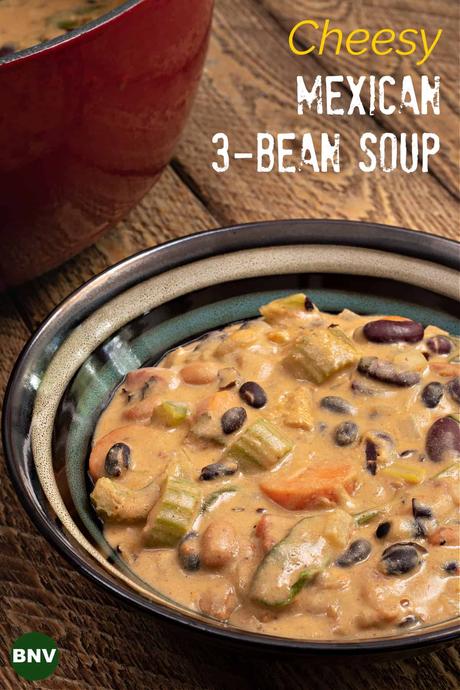 Cheesy mexican 3-bean soup with plantpure meal starter