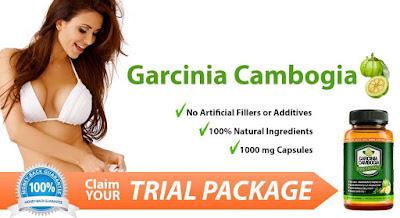 Garcinia Cambogia Side Effects and Benefits (Updated 2019)