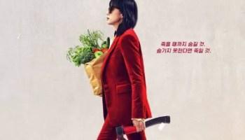 The Housemaid (2016) Movie Review