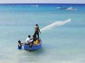 Bajan Fishing: Life