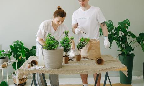 Save You Time Gardening,