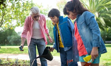 Save You Time Gardening,