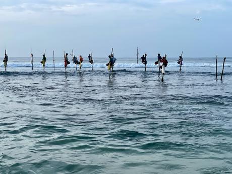 stick-fishermen-on-stilts-in-sri-lanka