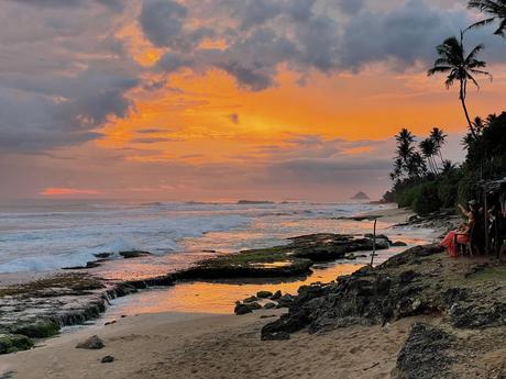 Coconuts-beach-sunset-orange-sky-with-reflection-in-the-water