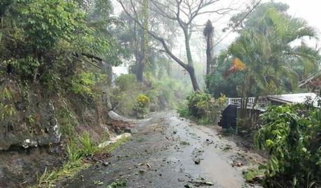 Climate and Weather Soaking Up the Tropical Sun