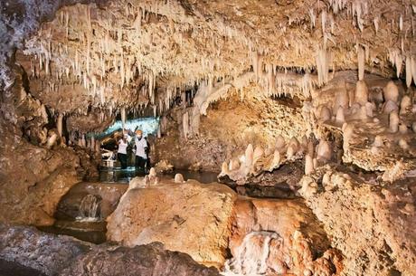 Natural Wonders Beaches, Caves, and Forests Galore