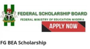 Scholarship Awards for the 2022 FG Bilateral Education Agreement (BEA) to Study Abroad Application