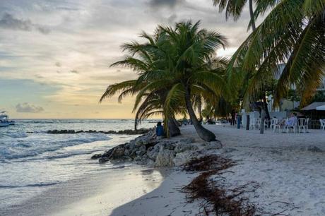 In Conclusion The Wonders of Barbados Topography