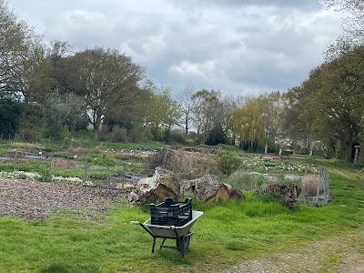 A visit to Beth Chatto's Gardens
