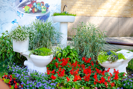 Sustainable Plumbing: Green Solutions for an Environmentally-Friendly Home