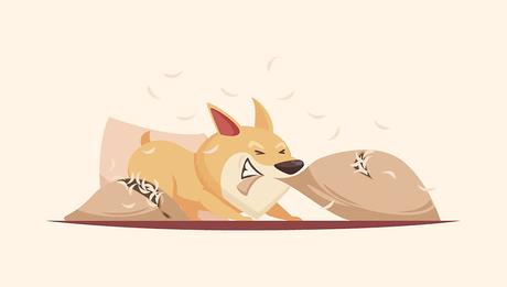28 Unique & Funny Corgi Gifts for Corgi Lovers