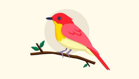 22 Gifts For Bird Lovers & Bird Watching Enthusiasts