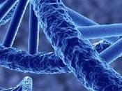 Gray Guardians: Identifying Causes White Hair Embracing Natural Prevention Techniques