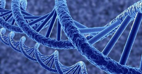 Gray Guardians: Identifying the Causes of White Hair and Embracing Natural Prevention Techniques