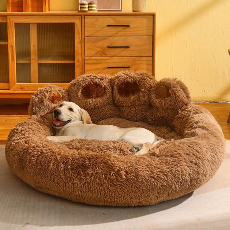 How to Find the Right Designer Dog Beds for Your Pup? How to Find the Right Designer Dog Beds for Your Pup?