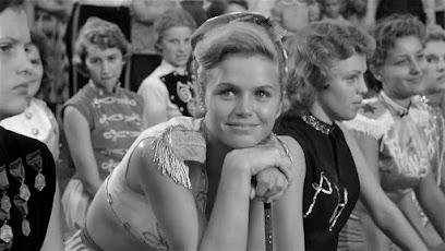 LEE REMICK AND THE DAWN OF THE MINI-SERIES