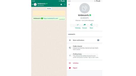 Get ready! 12 new features will come for WhatsApp Channels