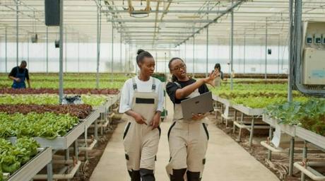 The Future of Agriculture in Barbados