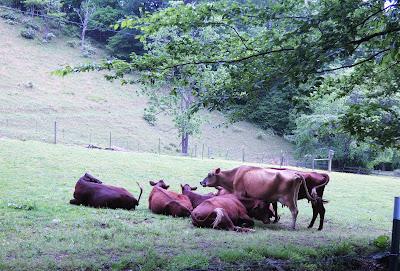 The Merry Month of May