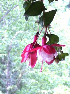 The Merry Month of May