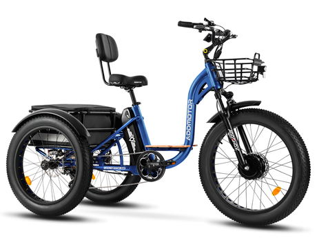Buying An Electric Trike: Things I Need to Know Before Purchasing 2 Buying An Electric Trike: Things I Need to Know Before Purchasing