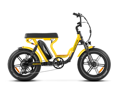 Two-Rider Electric Bikes: The Happiest Transportation Mode on Earth