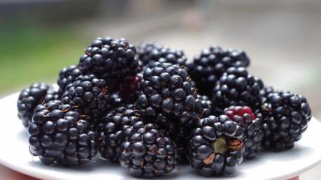 Vitamin E-rich Fruits: Unlocking a Nutrient Powerhouse for Overall Well-being