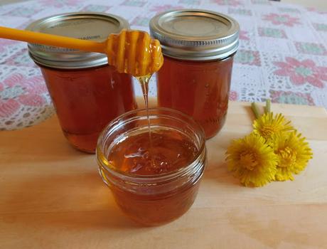 Dandelion Honey