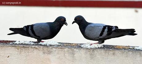 What is life aout ! - Expectations vs Expectancy !! What is life aout ! - Expectations vs Expectancy !!