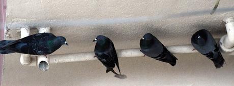 What is life aout ! - Expectations vs Expectancy !! What is life aout ! - Expectations vs Expectancy !!