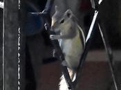 Cool Relax Tension Please