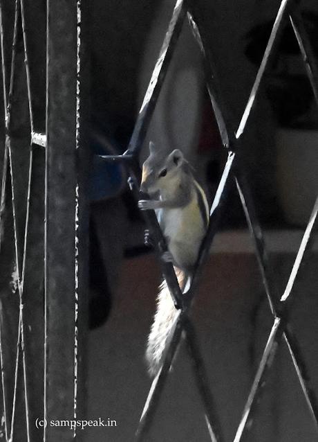 Cool !  -  relax !! - no tension please