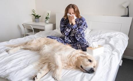 How To Reduce Pet Allergens At Home 2