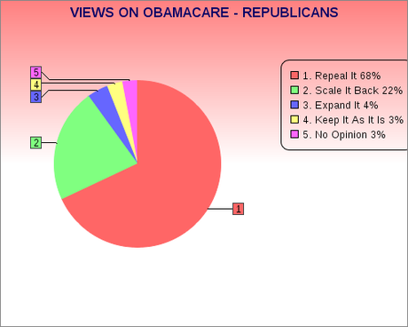 Obamacare Views By Political Persuasion