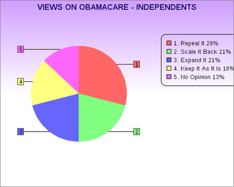 Obamacare Views By Political Persuasion